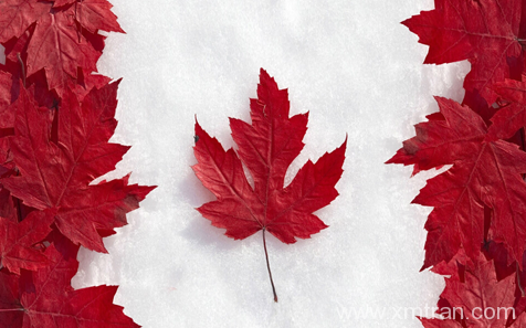 加拿大簽證辦理詳細流程解析 -加拿大簽證翻譯-證件翻譯